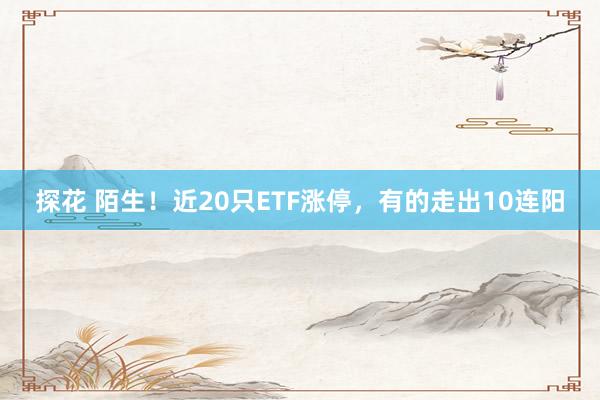 探花 陌生！近20只ETF涨停，有的走出10连阳