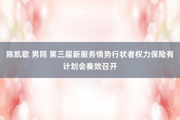 陈凯歌 男同 第三届新服务情势行状者权力保险有计划会奏效召开