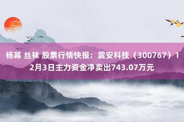 杨幂 丝袜 股票行情快报：震安科技（300767）12月3日主力资金净卖出743.07万元