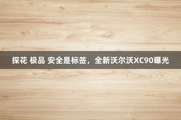 探花 极品 安全是标签，全新沃尔沃XC90曝光