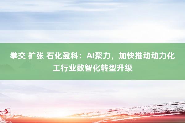 拳交 扩张 石化盈科：AI聚力，加快推动动力化工行业数智化转型升级